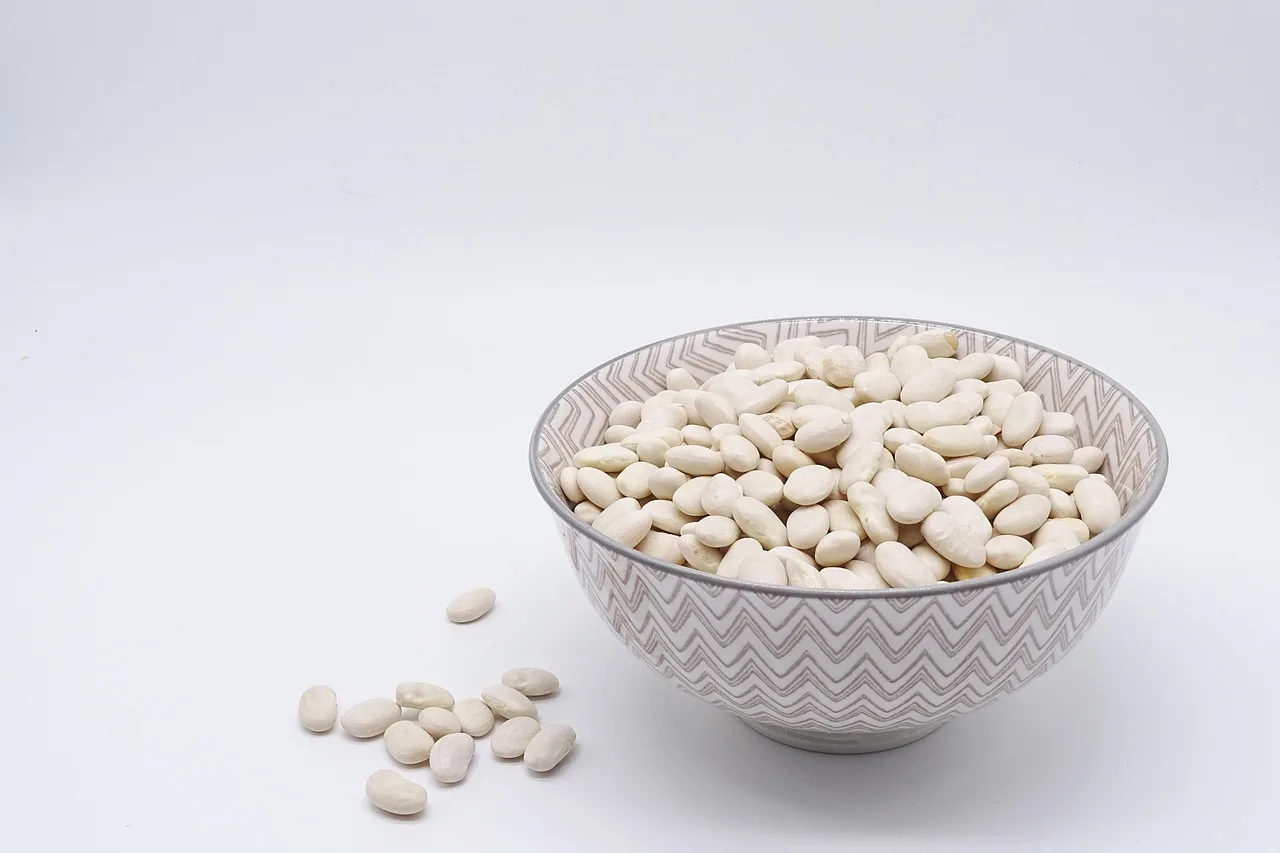 Buddha bowl z tofu, soczewicą i ciecierzycą — przykład zbilansowanego posiłku białkowego na diecie wegetariańskiej