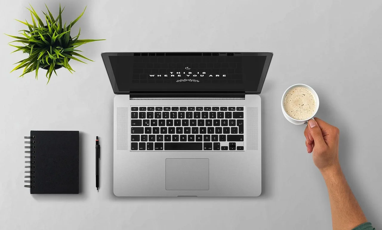 Sprawdzenie księgi wieczystej przez internet na laptopie — portal ekw.ms.gov.pl